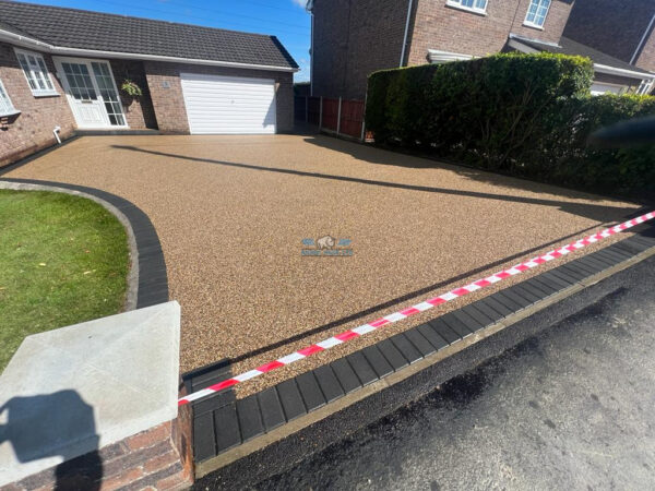 Rhino pave 43 3.jpeg